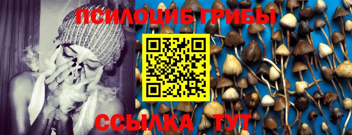 Урюпинск  Галлюциногенные грибы Magic Shrooms  Вход с VPN 